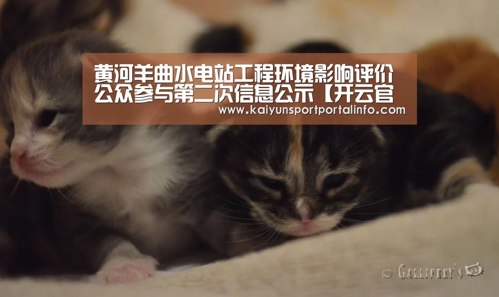 黄河羊曲水电站工程环境影响评价公众参与第二次信息公示【开云官网登录入口】