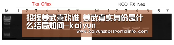 开云平台官网