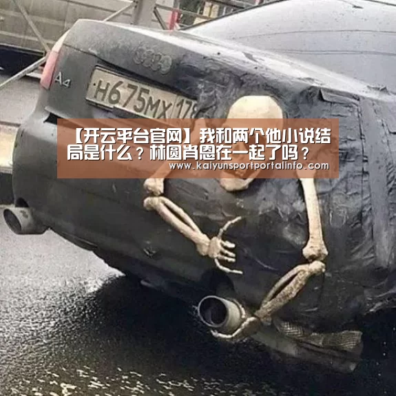 【开云平台官网】我和两个他小说结局是什么？林圆肖恩在一起了吗？