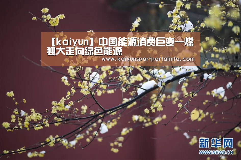 开云电竞